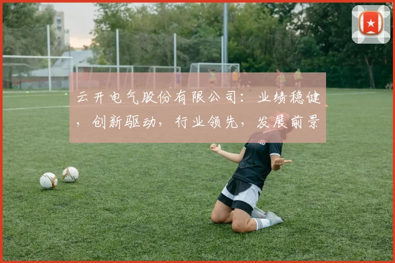 云开电气股份有限公司:业绩稳健,创新驱动,行业领先,发展前景广阔,值得关注
